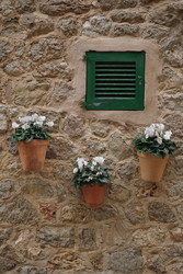 Similar image 22127035