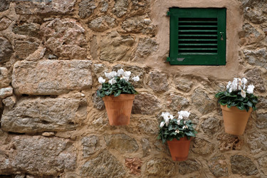 Similar image 22127037