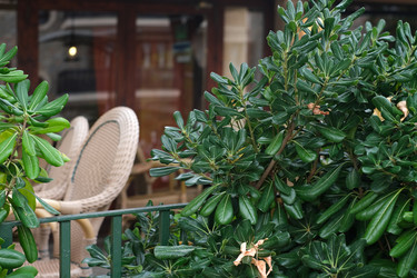 Similar image 22127039