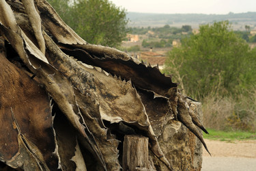 Similar image 22127041