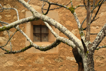 Similar image 22127043