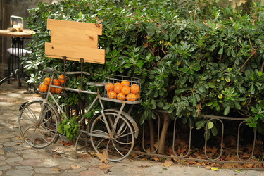 Similar image 22127053