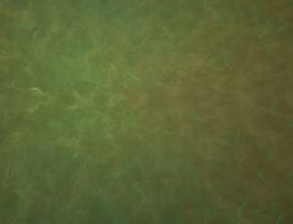 Similar image 22130863