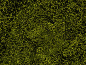 Similar image 22130865