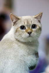 Similar image 22130220