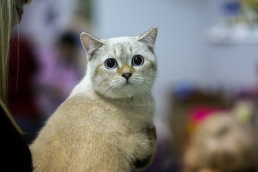 Similar image 22130221