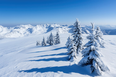 Similar image 22131367