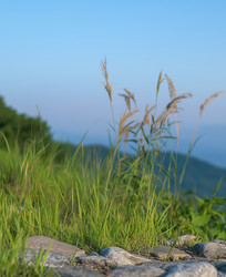 Similar image 22131375