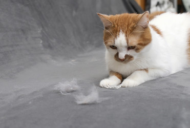 Similar image 22130223