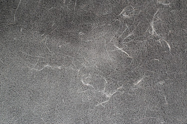 Similar image 22130225