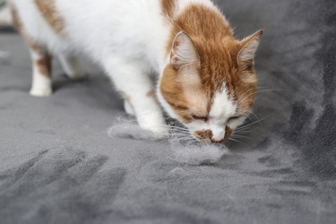 Similar image 22130230