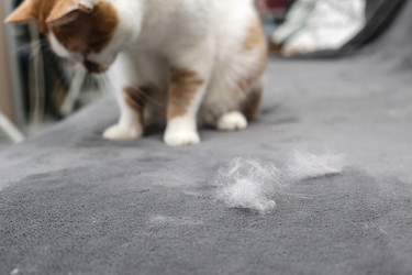 Similar image 22130234