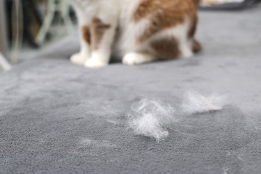 Similar image 22130236