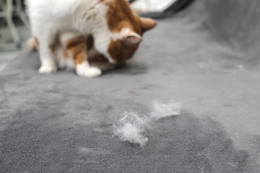 Similar image 22130458