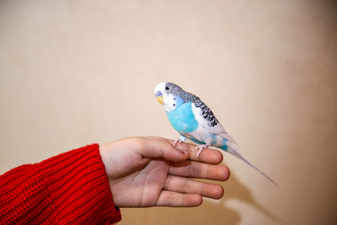 Similar image 22131466