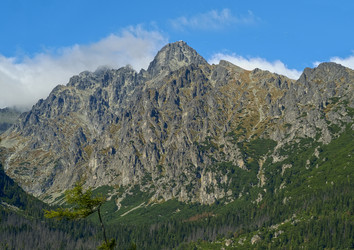 Similar image 22127063