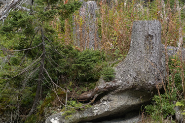 Similar image 22127074