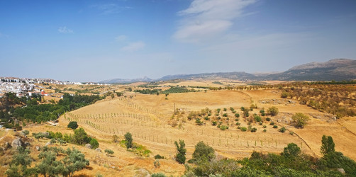 Similar image 22127530