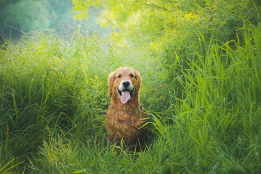 Similar image 22128585