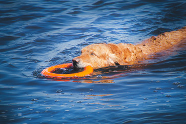 Similar image 22126470