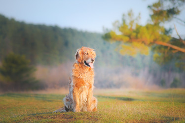 Similar image 22128586