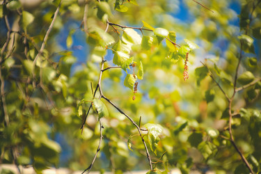 Similar image 22128587