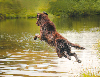 Similar image 22126471