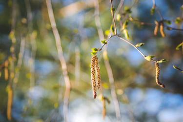 Similar image 22129509