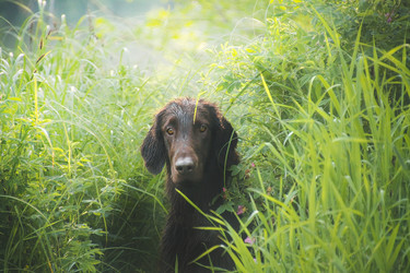 Similar image 22128588