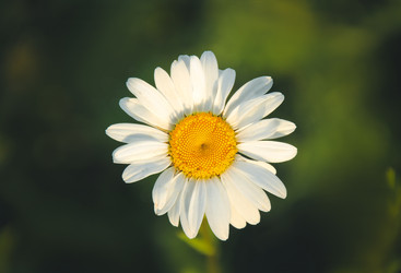 Similar image 22128589