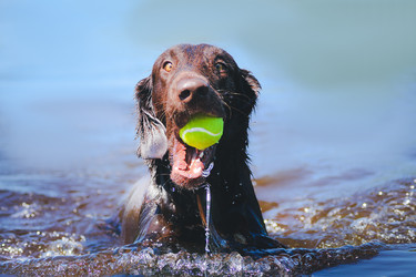 Similar image 22126472