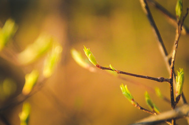 Similar image 22128590