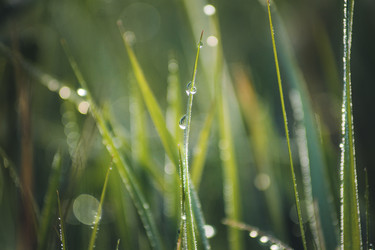 Similar image 22126473