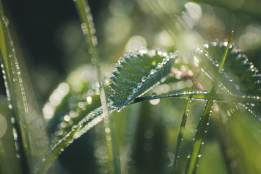 Similar image 22126474