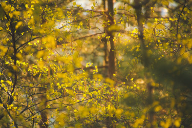 Similar image 22128591