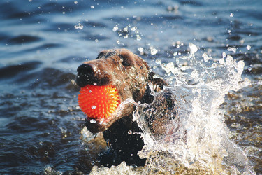 Similar image 22126475