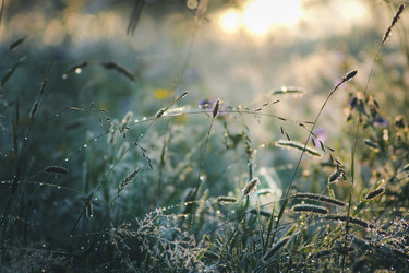 Similar image 22126476