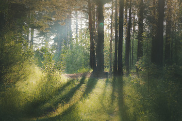 Similar image 22128592