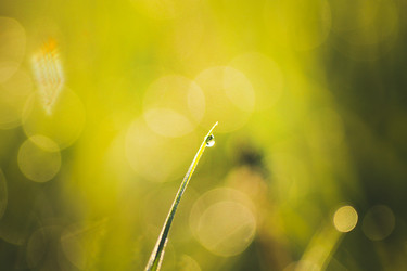 Similar image 22126477