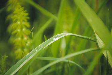 Similar image 22126478