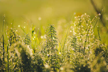 Similar image 22126479