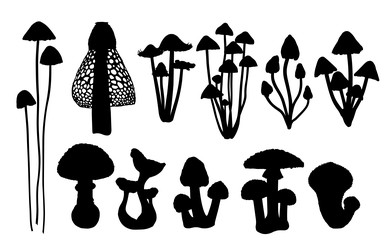 Similar image 22126460