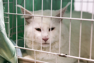 Similar image 22130242