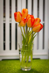 Similar image 22126482