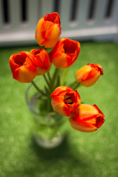 Similar image 22126483