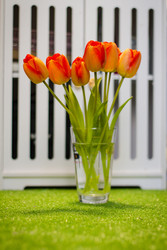 Similar image 22126484