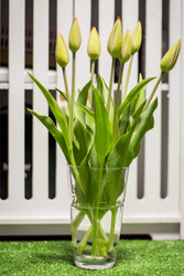 Similar image 22126485