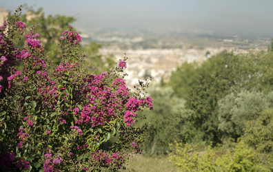 Similar image 22127102