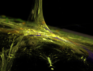 Similar image 22130980