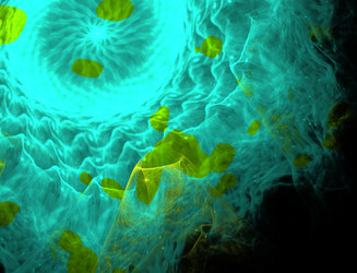 Similar image 22131204